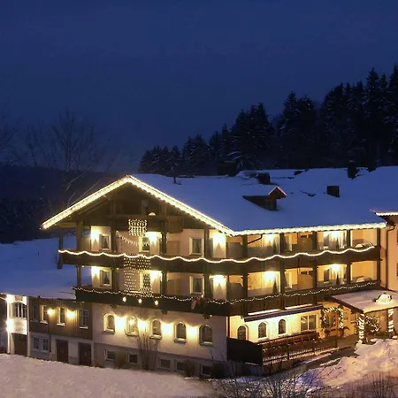 Zum Singenden Musikantenwirt Hotel Regen