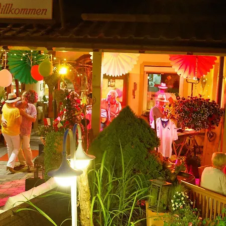 Hotel Zum Singenden Musikantenwirt 3*