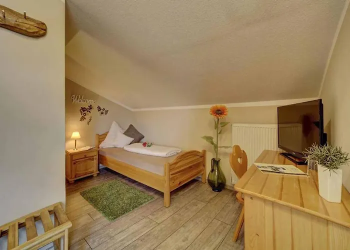 Hotel Zum Singenden Musikantenwirt Regen