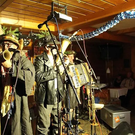 Hotel Zum Singenden Musikantenwirt Regen